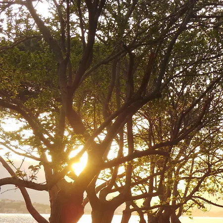 Isulella & Restaurant Порто-Веккьо