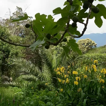 Isulella & Restaurant 4*