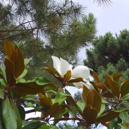 Isulella & Restaurant 4*