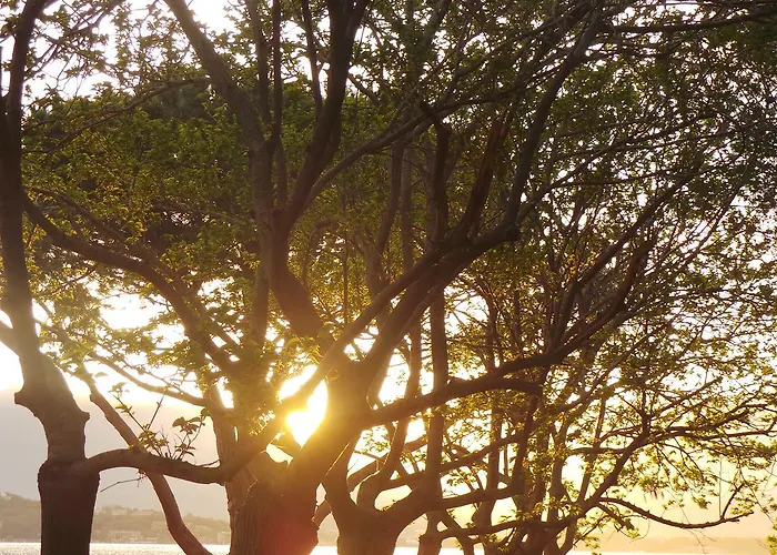 Isulella & Restaurant Porto-Vecchio (Corsica)