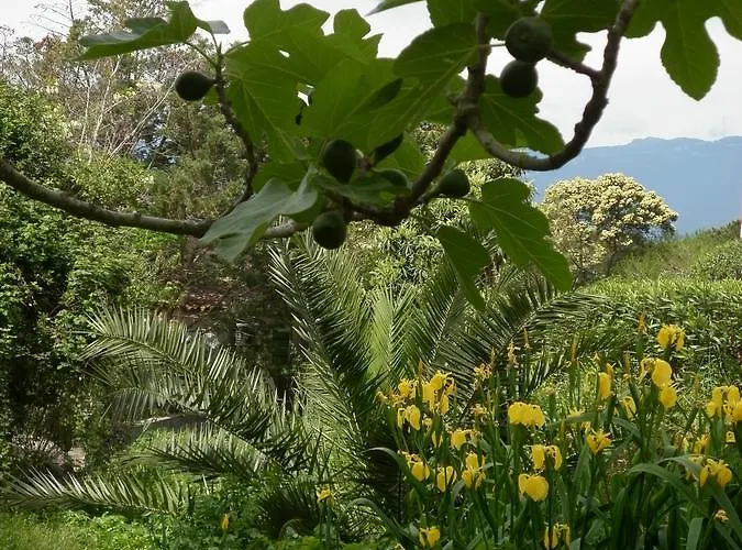 Isulella & Restaurant 4*