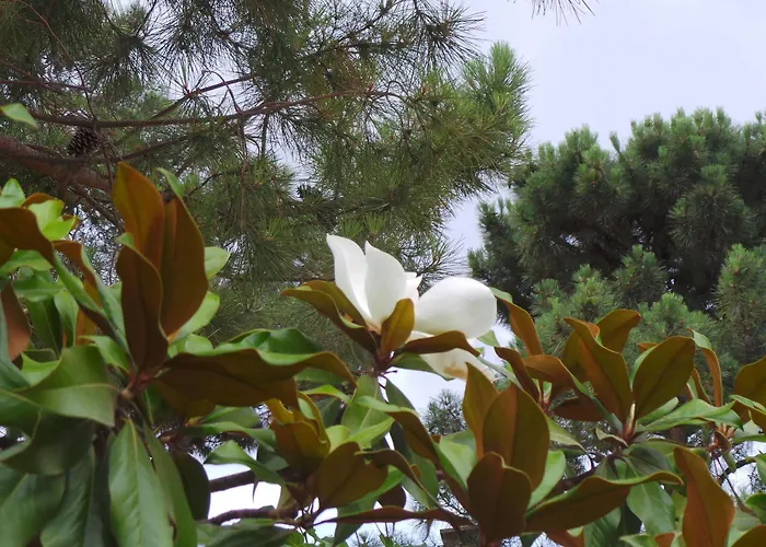 Isulella & Restaurant 4*