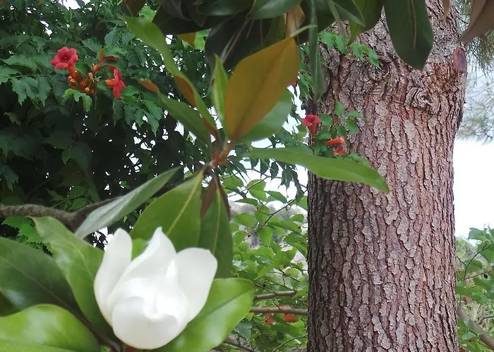 Isulella & Restaurant Hotel Porto-Vecchio (Corsica)